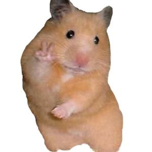 Meet your Posher, Arlette